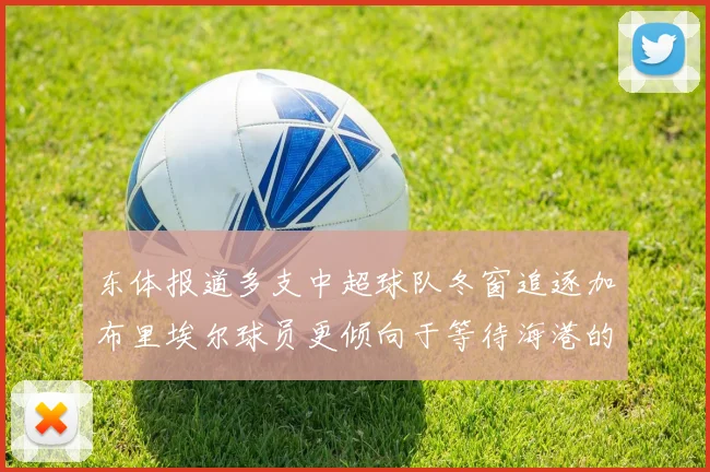 东体报道多支中超球队冬窗追逐加布里埃尔球员更倾向于等待海港的机会