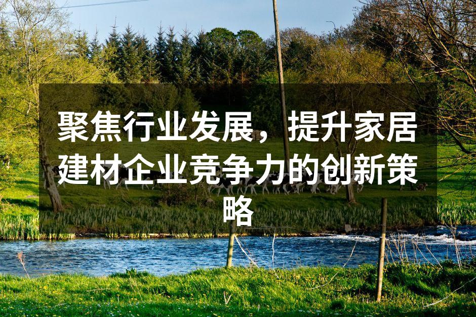 聚焦行业发展，提升家居建材企业竞争力的创新策略
